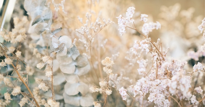 Bodywork Massage (non-RMT)